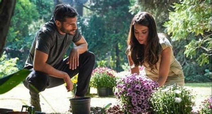 A Journey Of Love, Betrayal, And Redemption