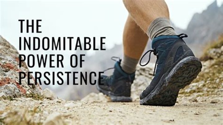 A Journey Of Versatility, Depth, And Enduring Success