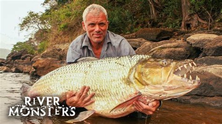 A Look Into The Life Of A River Monster's Heart