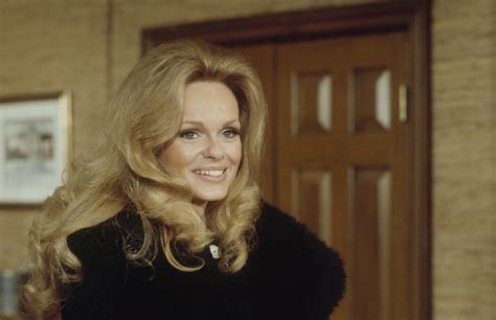 Comprehending The Literary Genius Of Linda Day George