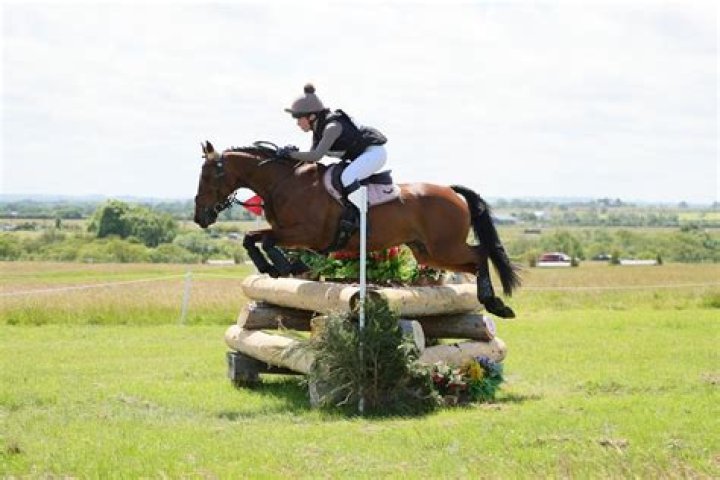 Equestrian Excellence: Karl Cook, A Masterful Horseman