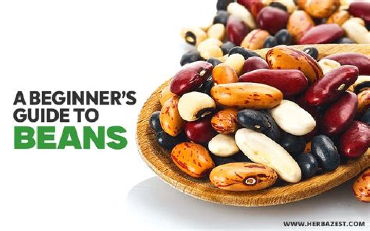 Essential Guide To Beans Airrack: Unlocking Culinary Heights