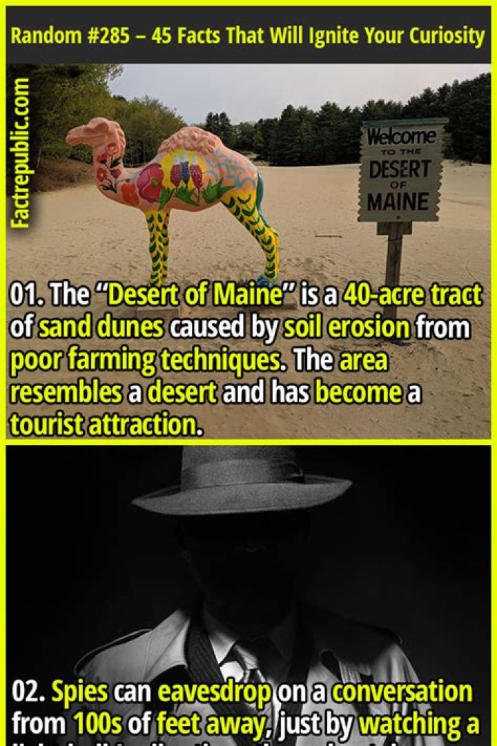 Facts That Will Ignite Your Curiosity