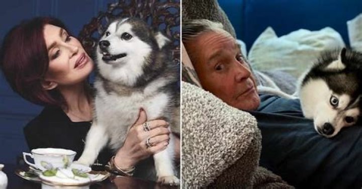 Jamerrill Stewart Mourns The Death Of Beloved Husband