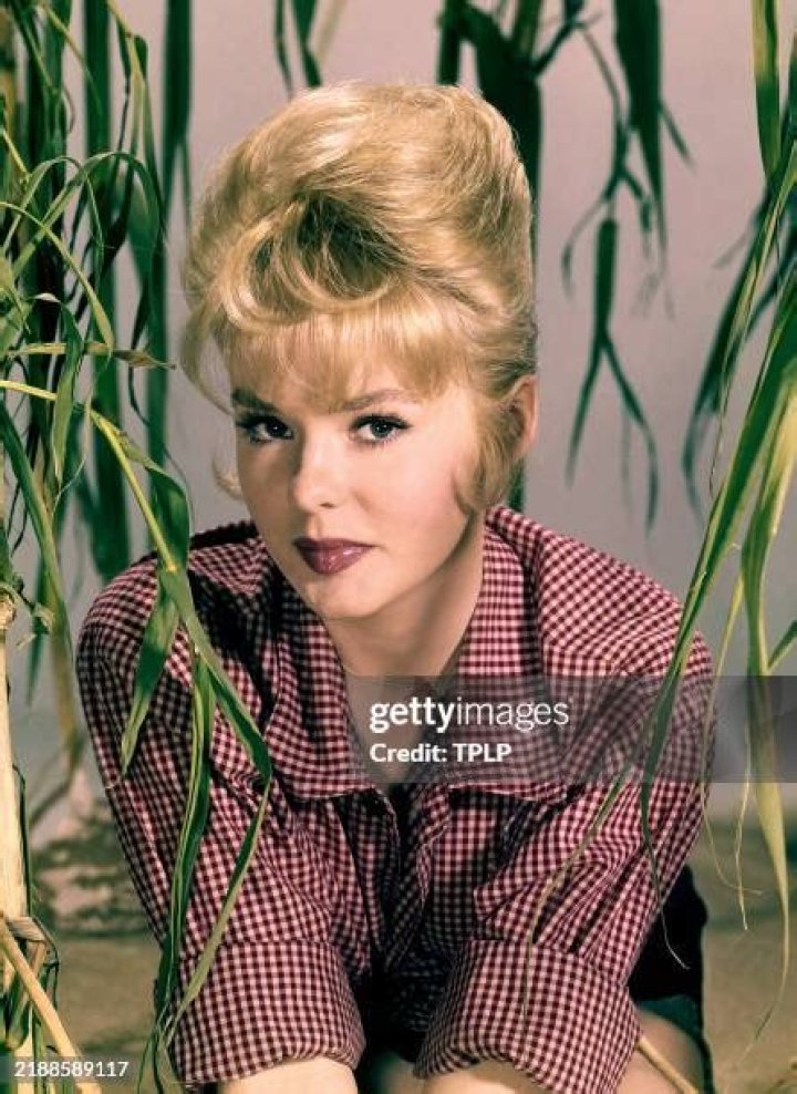 Joey Heatherton: A Timeless Icon's Legacy Today