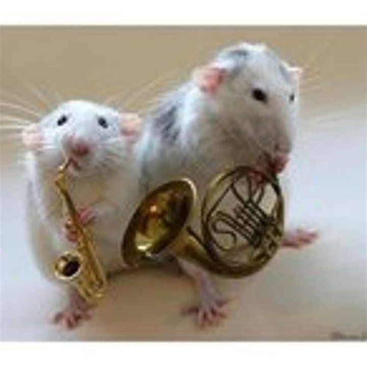 Stream Riste Trajkovski music Listen to songs, albums, playlists for