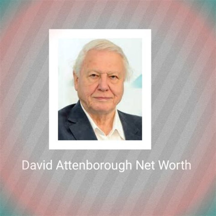 The Astounding Net Worth Of David Attenborough: Unveiled