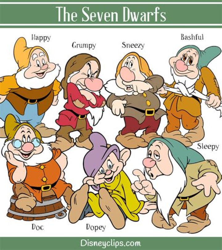 The Enigmatic Doc: Exploring The Personality Of Seven Dwarfs' Sage