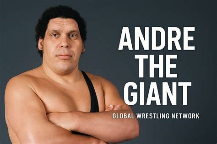 Uncover The Height Of Andre The Giant's Wife: An Intriguing Revelation