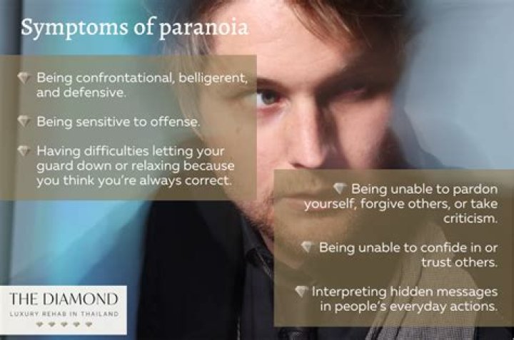 Uncover The Truth: All Your Burning Paranoia Questions Answered