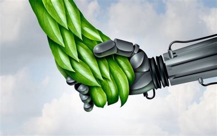 Uncovering The Truth And Offering Solutions