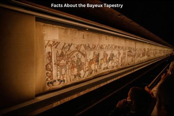 Unraveling Freddie Mercury's Cultural Tapestry: A Journey Of Discovery