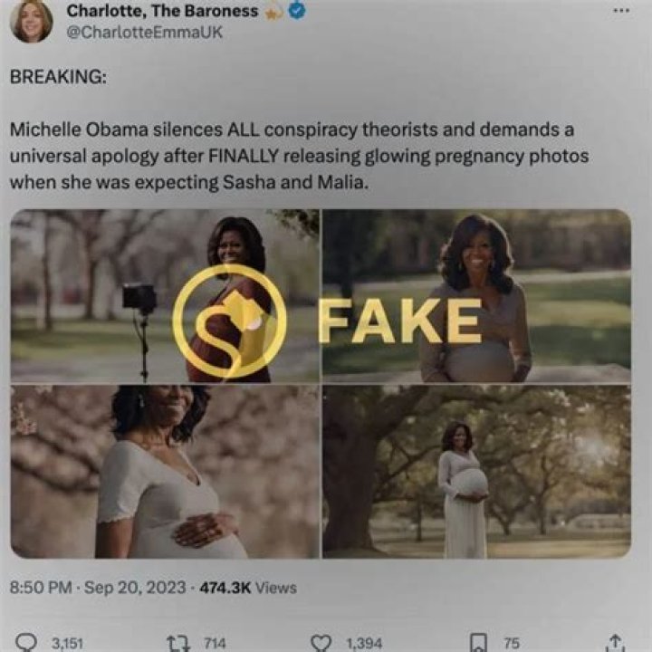Unraveling The Truth Behind Malia Obama's Pregnancy Rumors