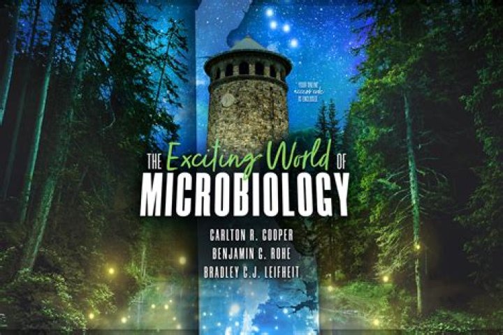 Unveiling The Exciting World Of Neal Brennan's Love Life