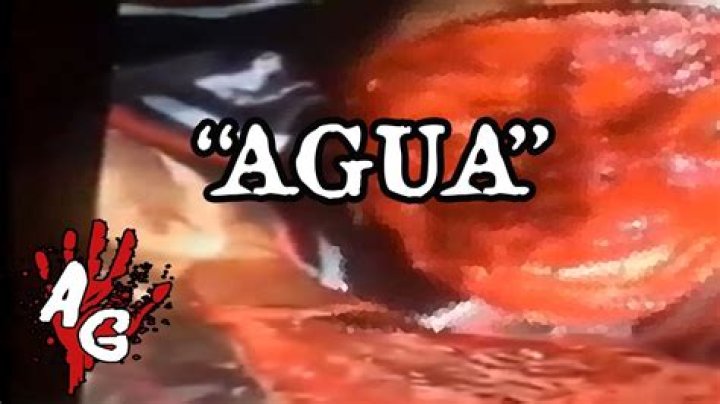 Unveiling The Secrets Of "watch Quiero Agua Video Pesado Original A"