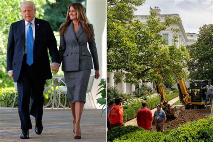Unveiling Tree Paine's Net Worth: Discoveries And Insights
